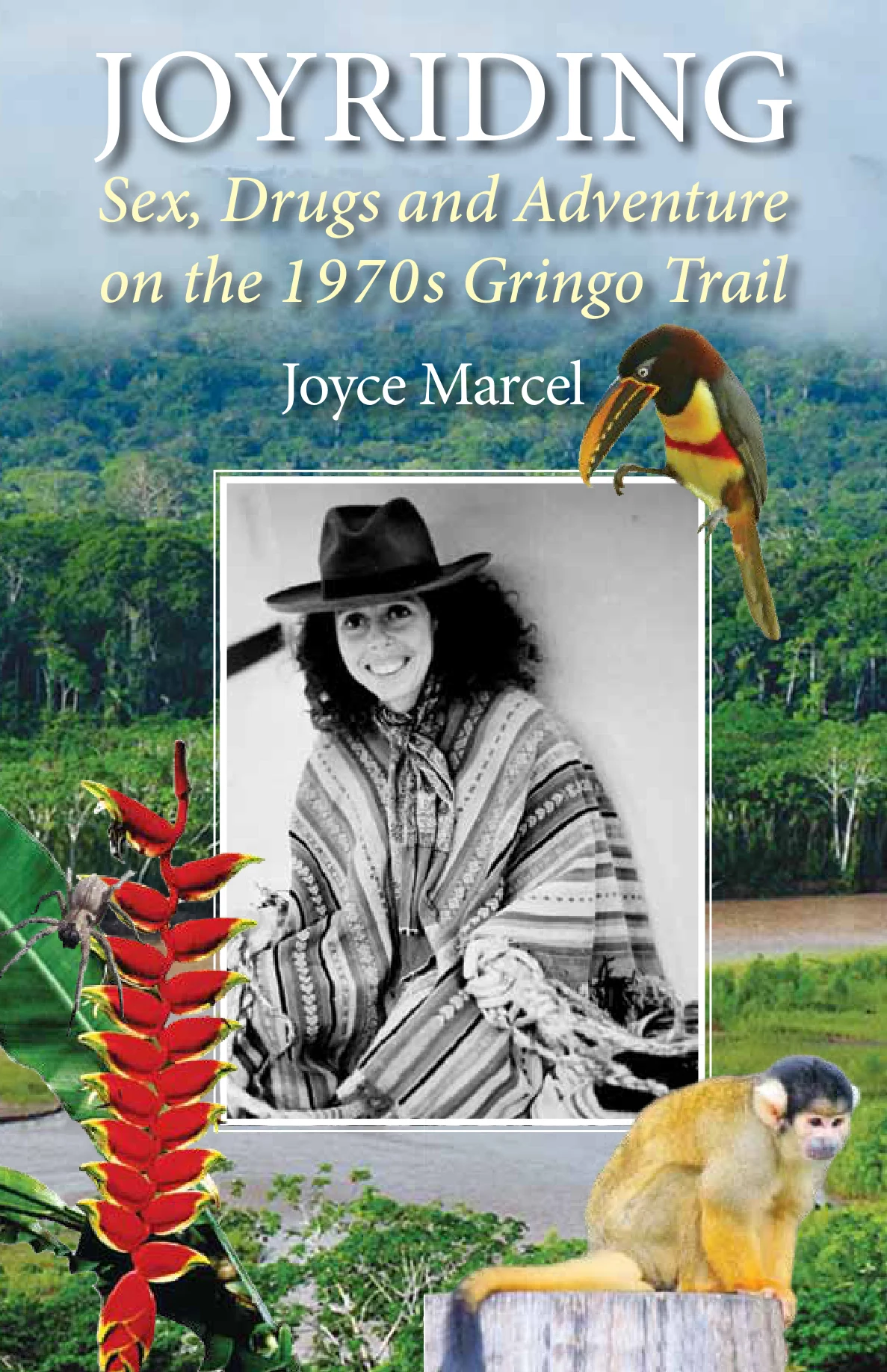 Book cover for Joyriding by Joyce Marcel